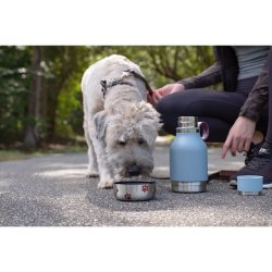 ASOBU Rustfristl vandflaske m. skl, 1 Liter - bl