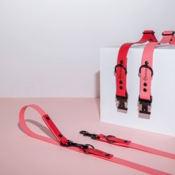 4Hound halsb�nd - Red