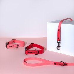 4Hound halsb�nd - Red