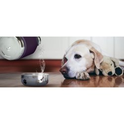 ASOBU Rustfristl vandflaske m. skl, 1 Liter - Burgundy