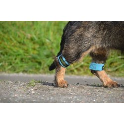 AMOKEN vgtmanchetter