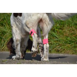 AMOKEN vgtmanchetter