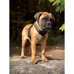 AMOKEN sele - gul flet