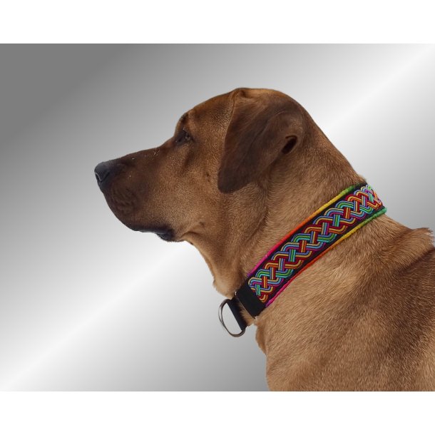 AMOKEN halsbnd - regnbuemnster