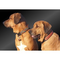  AMOKEN halsbnd - rd m. guld 