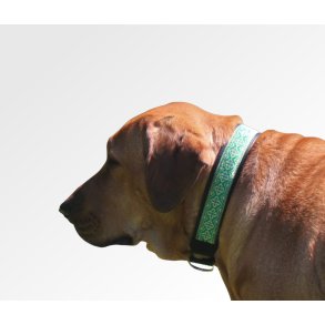 AMOKEN halsbnd - frisk grnt m. guld 