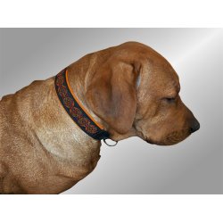 AMOKEN halsbnd med orange mnster