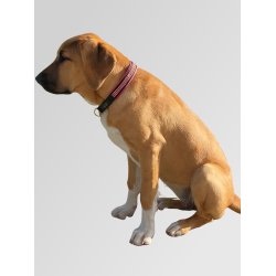  AMOKEN halsbnd - cherise bling - smalt