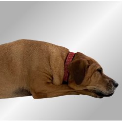 AMOKEN halsb�nd med bling - r�d