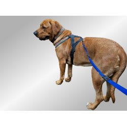 AMOKEN halsbnd - bl flet