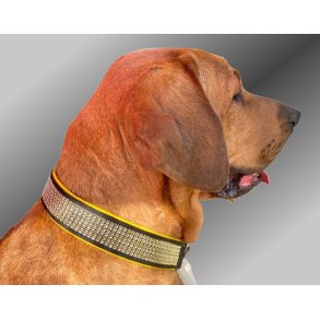 AMOKEN halsb�nd med bling - gul