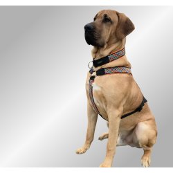 AMOKEN halsbnd - orange flet