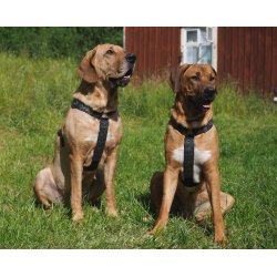 AMOKEN sele med ddningehoveder