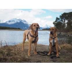 AMOKEN sele med refleks, fs i flere flotte farver