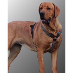 AMOKEN sele - bl flet