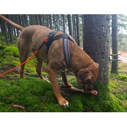 AMOKEN sele med refleks, fs i flere flotte farver