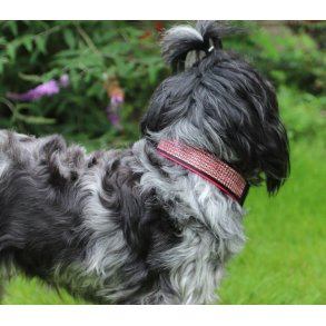 AMOKEN halsbnd med bling - cherise 