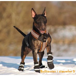 AMOKEN sele med bling - orange 