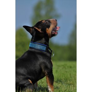 AMOKEN halsb�nd med bling - bl�