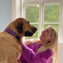 AMOKEN halsbnd med bling - lilla