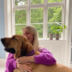 AMOKEN halsbnd med bling - lilla