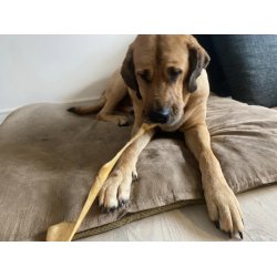 Whesco oksehovedhud, ekstra hrd - ca 30 cm