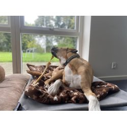 Whesco oksehovedhud, ekstra hrd - ca 30 cm