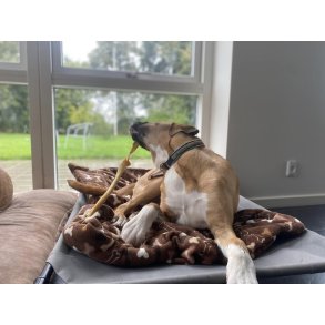 Whesco oksehovedhud, ekstra hrd - ca 30 cm