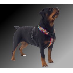 AMOKEN sele - regnbuemnster 