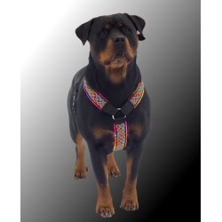 AMOKEN sele - regnbuemnster 