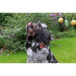  AMOKEN halsbnd - rd m. guld 