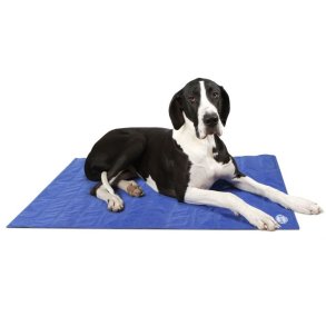 Scruffs Cooling Mat XL bl ( 120 x 75 cm)