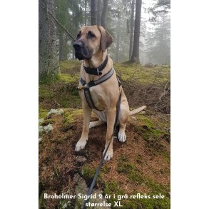 AMOKEN refleks sele - gr