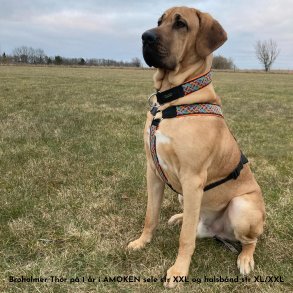  AMOKEN sele - orange flet