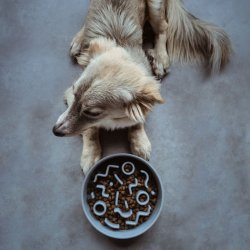  DISTRICT 70 BAMBOO slowfeeder M - Ice blue